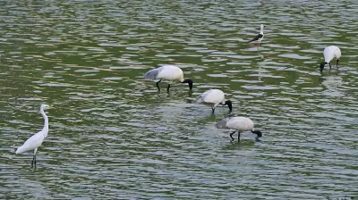 Book Highlights Democratic Fight for Bengaluru's Lakes