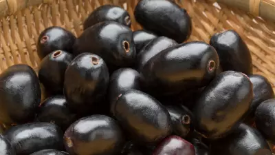 Can Jamun Help Control Blood Sugar? Expert Explains Its Benefits for Diabetes