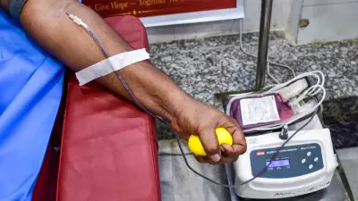 Can Lab-Grown Blood Replace Donations? Experts Explain Current Challenges and Solutions