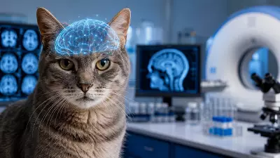 Cats Age Like Humans, Offer Insights into Ageing Diseases: Study