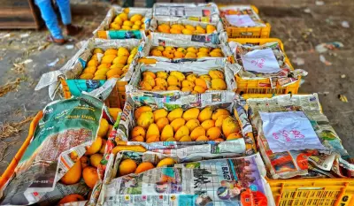 Cauvery Calling to host seminar and fruits festival in Trichy on June 14