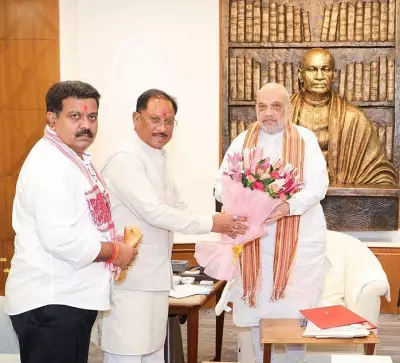 Chhattisgarh Proposes All India Institute of Ayurveda; CM Sai Meets Amit Shah