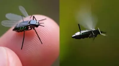 China Develops Mosquito-Sized Drones for Military Warfare and Covert Ops
