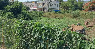 Chitradurga Layouts Sink Under Garbage and Stray Animal Menace
