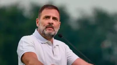 Congress Mega Job Fair on Rahul Gandhi's Birthday: Over 150 Firms to Participate