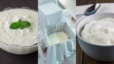 Curd vs Hung Curd vs Greek Yogurt: Difference and Protein Content Comparison