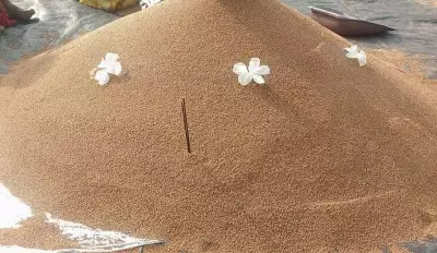 Delayed MSP Payments Leave Karnataka Farmers in Lurch
