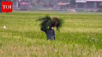 Delhi govt raises crop loss compensation to Rs 75,000 per hectare