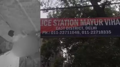 Delhi Horror: 70-Year-Old Blind, Mentally Challenged Woman Assaulted, Rape Attempted