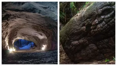 Discover the Mystery of Naga Cave: Thailand's Serpent Rock Formation