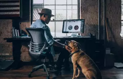 Dog and Cat Interactions Boost Mood But May Not Reduce Stress, Study Finds
