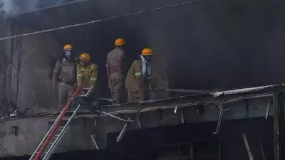 Dozens of Animals Rescued from Fire-Hit Pet Facility in Lucknow