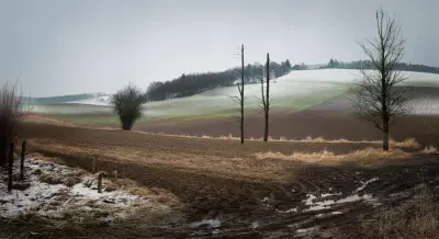 Europe's Winter Snow Cover Declines Drastically, Study Reveals