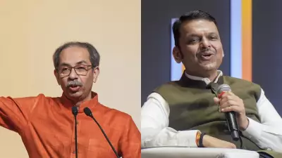 Fadnavis, Uddhav Share Flight to Nagpur, Shake Hands Amid Political Rift