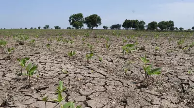 Farmers Demand Total Crop Loan Waiver in Karnataka's Dharwad