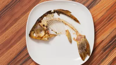 Fish Bone Hazards: Why Home Remedies Can Be Dangerous and How to Stay Safe