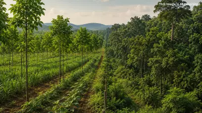 Forest vs Tree Cover: Why Karnataka Must Distinguish Them