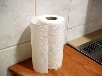 From Factory Rejects to Household Essential: The History of Paper Towels