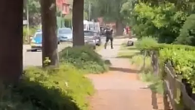Germany Shooting: 5 Dead, Suspect Detained in Stade Youth Centre