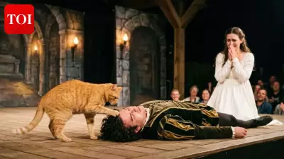 Ginger Cat Tries to Rewrite Romeo and Juliet's Tragic Ending in Turkey