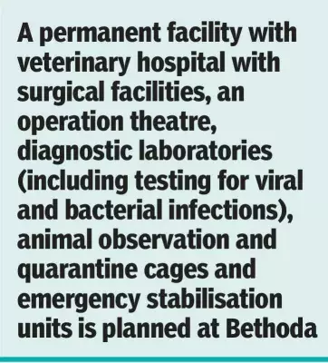 Goa to Set Up First Wildlife Transit Treatment Centre and 24X7 Ambulance Service