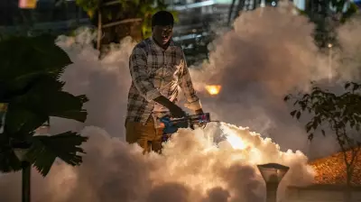 Greater Bengaluru Authority Issues Dengue Alert as Monsoon Arrives in City