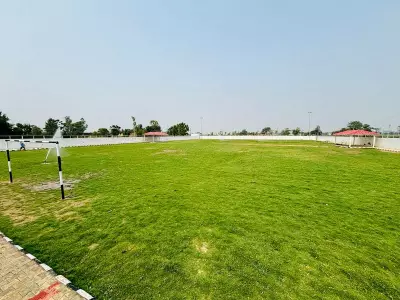 Haryana Shuts Down 11 Sports Nurseries Over Norm Violations