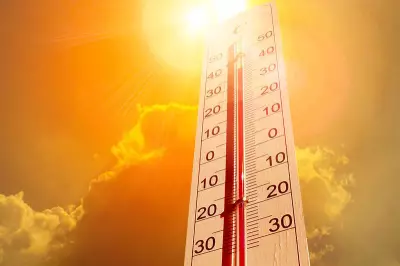 Heatwaves Fuel Dangerous Ozone Pollution, IIT-Kharagpur Study Warns