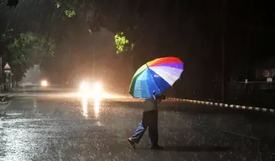 Heavy Rain Likely in Punjab, Haryana from July 2; Temperatures to Dip