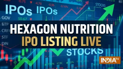 Hexagon Nutrition IPO Lists Today: Check GMP, Share Price, and Key Details
