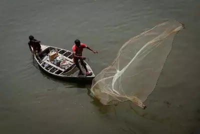 Himachal Pradesh Imposes Complete Ban on Fishing for Breeding Season
