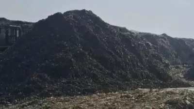 Hot Food in Plastic Bags Raises Cancer Risk, Say Experts in Amritsar