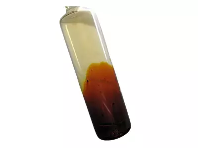 How a Violet Vapour from Seaweed Ash Led to the Discovery of Iodine