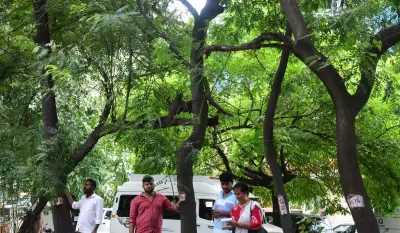 How Two Friends Transformed Bengaluru's JP Nagar Ring Road Median into a Green Corridor