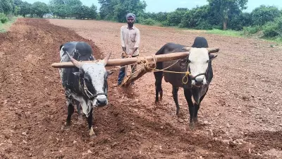 Hubballi: Sowing Delayed as Monsoon Yet to Arrive in District