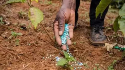 India Lowers Fertilizer Demand Forecast Due to Below Normal Monsoon