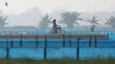 India Sees Moderate to Strong El Nino Conditions During Monsoon Season
