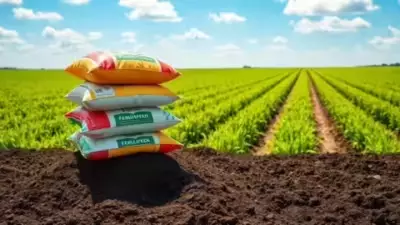 India to Add 25.4 Lakh Tonnes Urea Capacity with Two New Plants