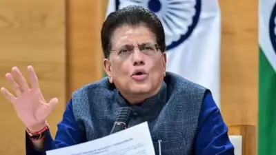 India-US Trade Pact Framework Finalised, Tariff Advantage Key: Piyush Goyal