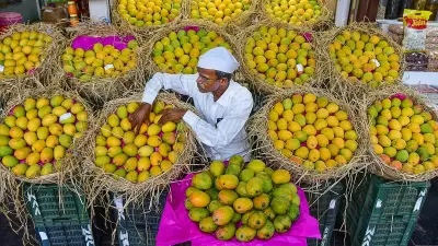 India's Mango Export Reputation Hit as Nepal, Japan Restrict Imports