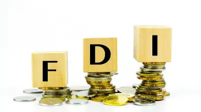 India's Outward FDI Falls 49% Month-on-Month to $4.49 Billion in May