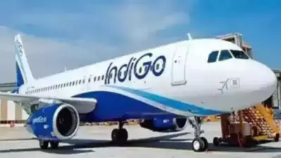 IndiGo Flight Returns After Bird Hit During Takeoff from Bengaluru