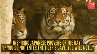 Japanese Proverb: Enter the Tiger's Cave to Catch the Cub