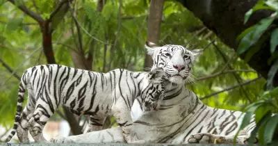 June 4, 2026: Best Photos from Around the World Capture Stunning Moments