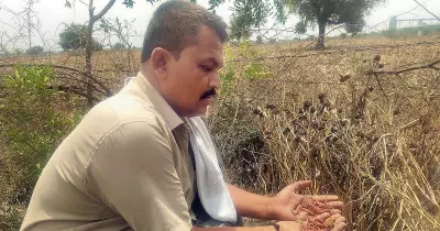 Karnataka Cement Units Pollute Kalaburagi Villages, KSPCB Chief Acknowledges Complaints