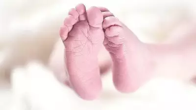 Karnataka: Falling Coconut Kills Baby in Mother's Arms