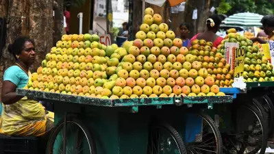Karnataka Mango Exports Shift to US, UK Amid West Asia Crisis