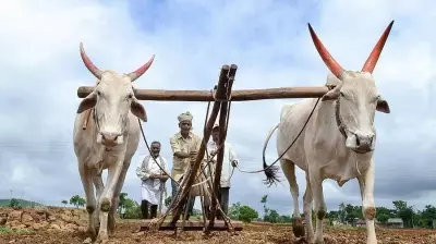 Karnataka Rashtra Samithi Chief Booked for Remarks on Farmers