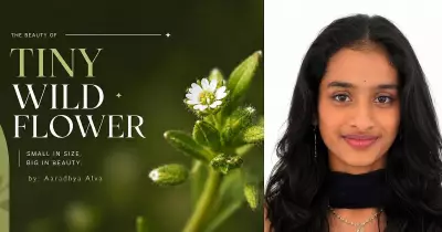 Karnataka Student Authors 'Tiny Wild Flower' After Summer Nature Project