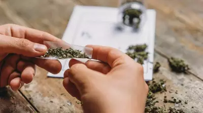Karnataka: Udupi Homestay Raided, Ganja Seized in Police Operation